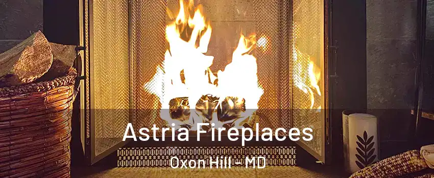 Astria Fireplaces Oxon Hill - MD