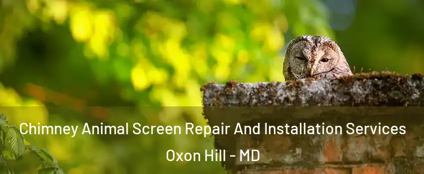 Chimney Animal Screen Repair And Installation Services Oxon Hill - MD