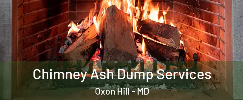 Chimney Ash Dump Services Oxon Hill - MD
