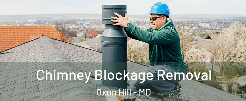 Chimney Blockage Removal Oxon Hill - MD