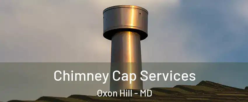 Chimney Cap Services Oxon Hill - MD