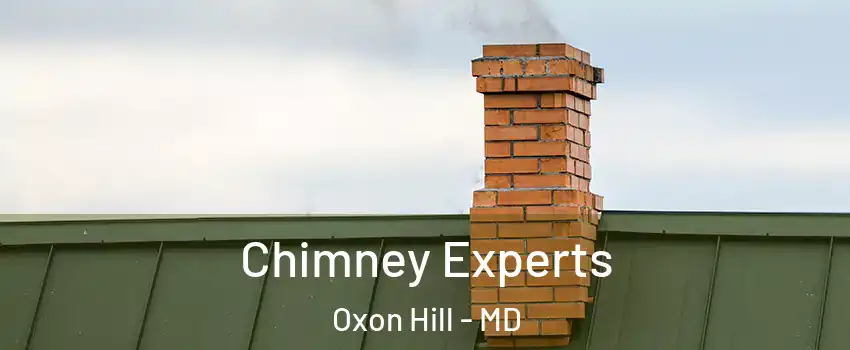 Chimney Experts Oxon Hill - MD