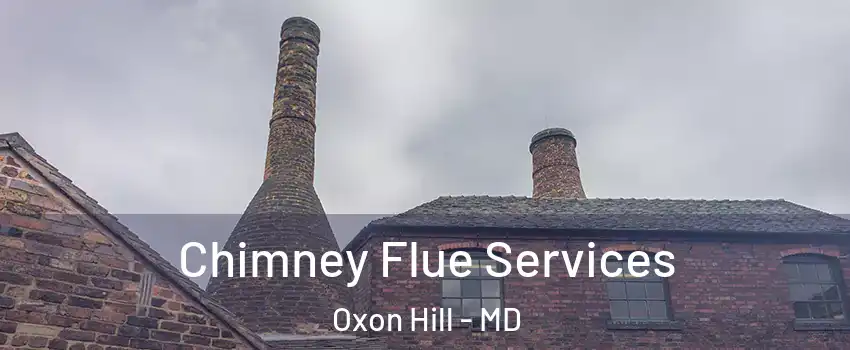 Chimney Flue Services Oxon Hill - MD