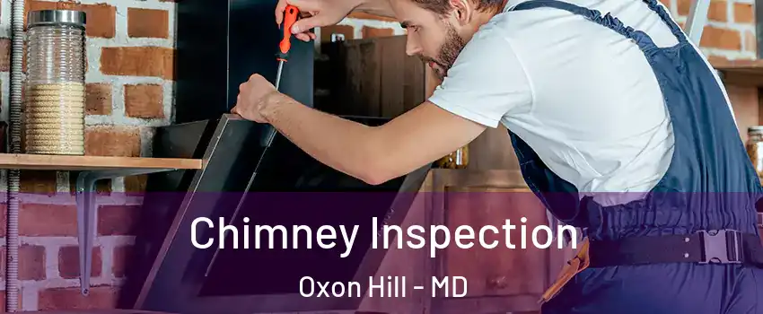Chimney Inspection Oxon Hill - MD