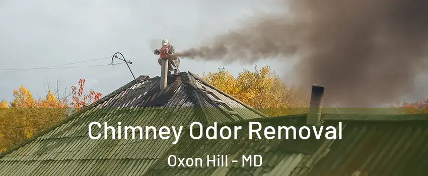 Chimney Odor Removal Oxon Hill - MD