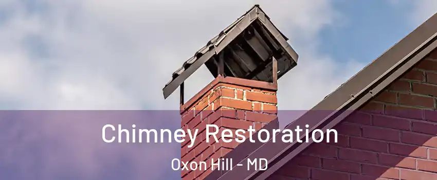 Chimney Restoration Oxon Hill - MD