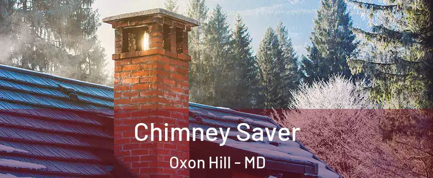 Chimney Saver Oxon Hill - MD