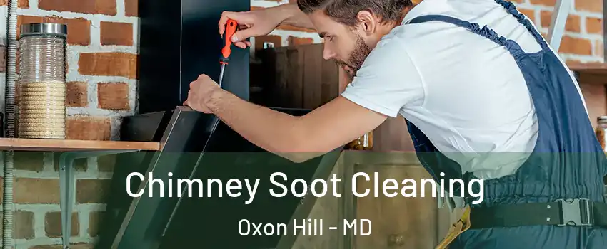Chimney Soot Cleaning Oxon Hill - MD