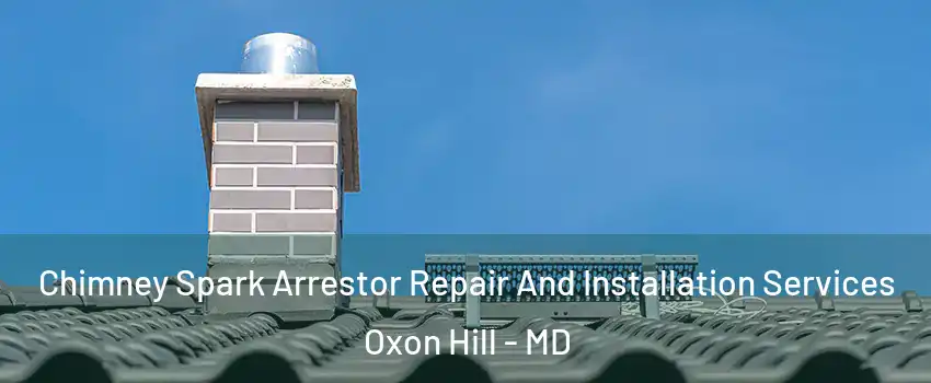 Chimney Spark Arrestor Repair And Installation Services Oxon Hill - MD
