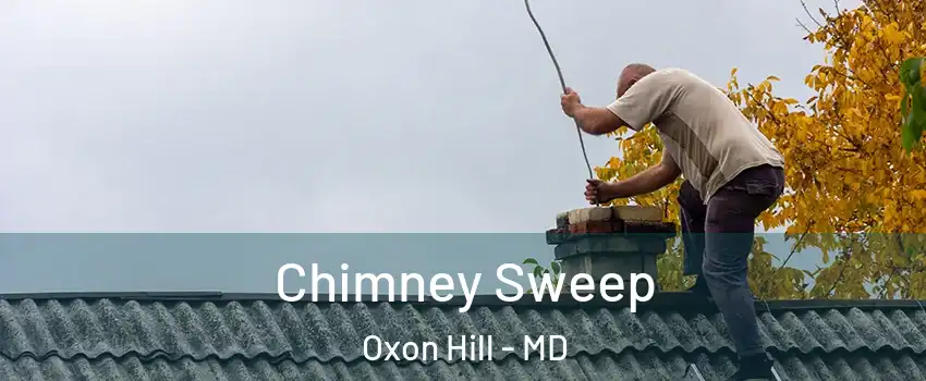 Chimney Sweep Oxon Hill - MD