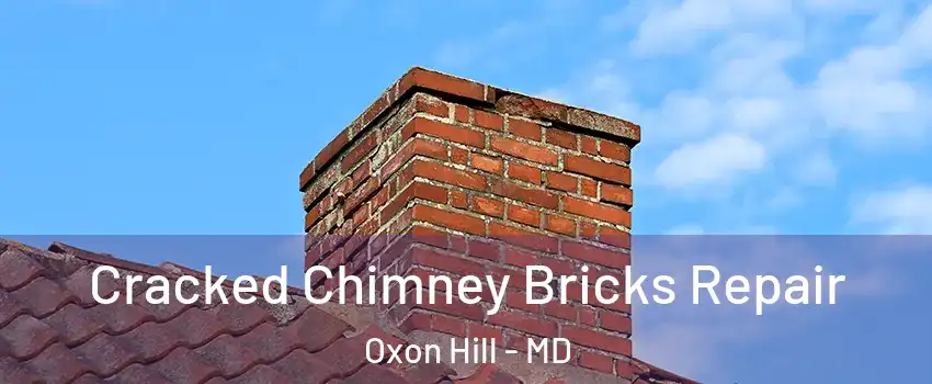 Cracked Chimney Bricks Repair Oxon Hill - MD