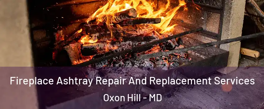 Fireplace Ashtray Repair And Replacement Services Oxon Hill - MD