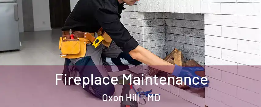 Fireplace Maintenance Oxon Hill - MD