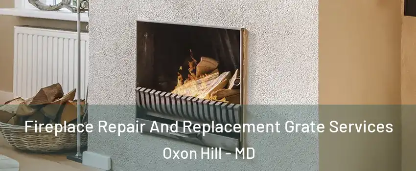 Fireplace Repair And Replacement Grate Services Oxon Hill - MD