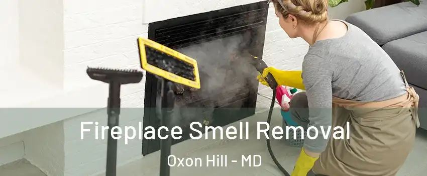 Fireplace Smell Removal Oxon Hill - MD