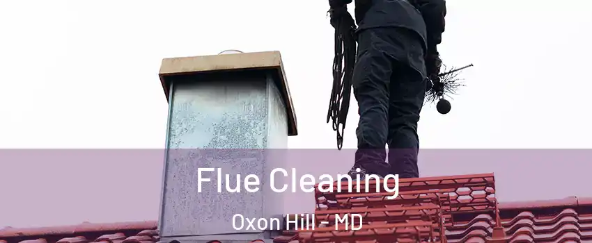 Flue Cleaning Oxon Hill - MD