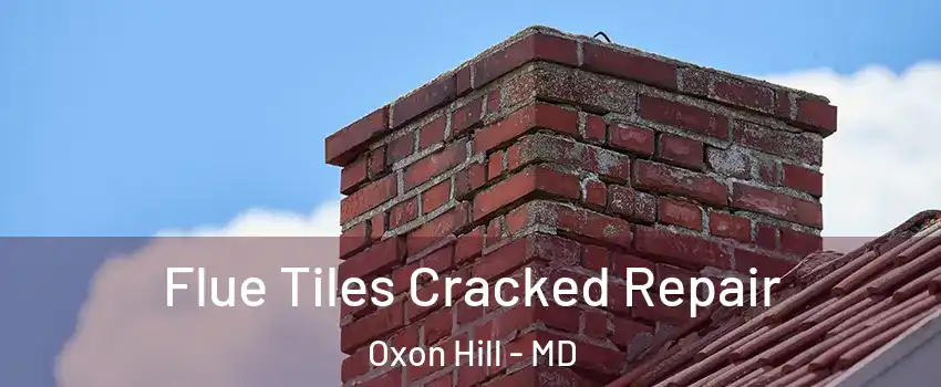 Flue Tiles Cracked Repair Oxon Hill - MD