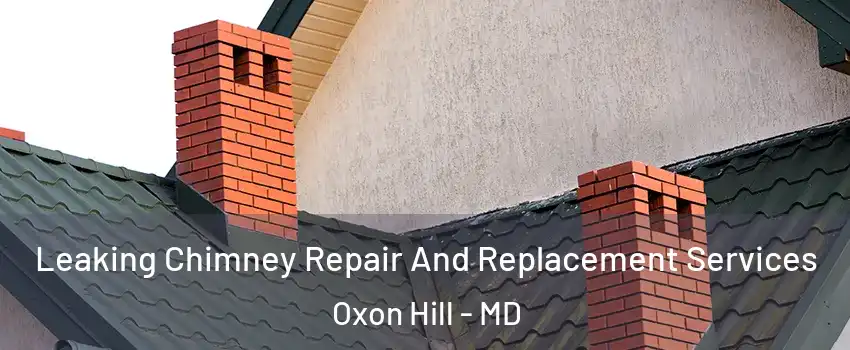 Leaking Chimney Repair And Replacement Services Oxon Hill - MD