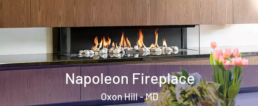 Napoleon Fireplace Oxon Hill - MD