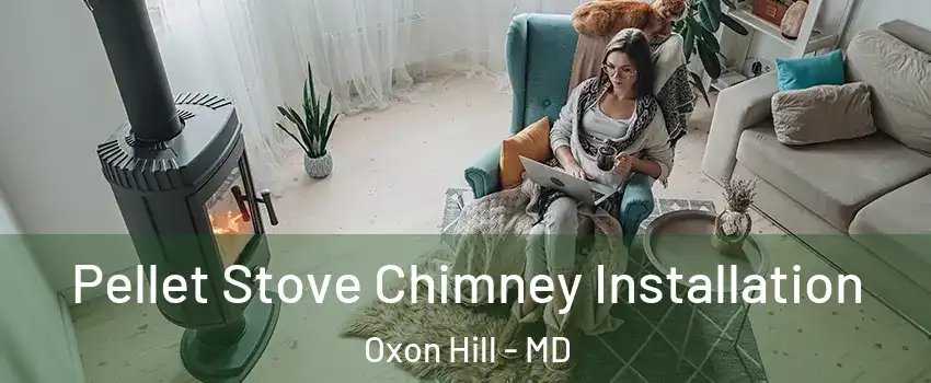 Pellet Stove Chimney Installation Oxon Hill - MD